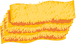 Cartoon of Lasagna